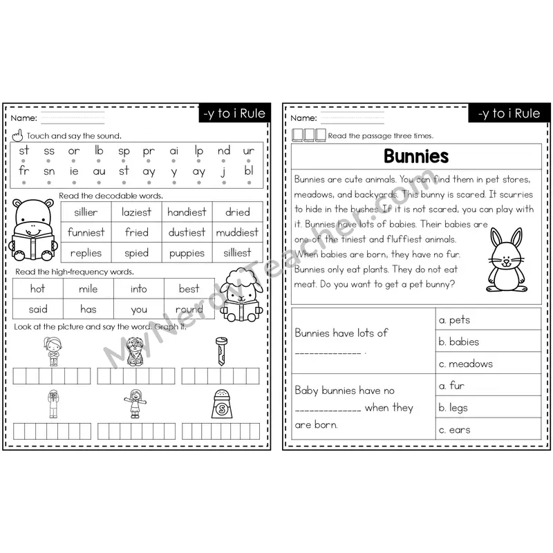 y to i Spelling Rule Decodable Passage — Editable PowerPoint