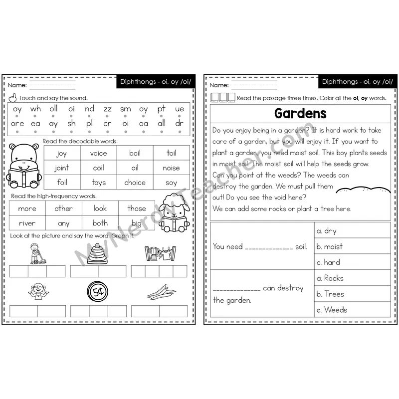 oi, oy /oi/ Decodable Passage — Editable PowerPoint