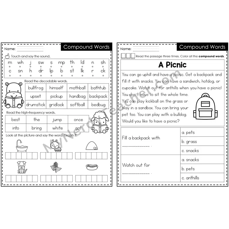 Compound Words Decodable Passage — Editable PowerPoint