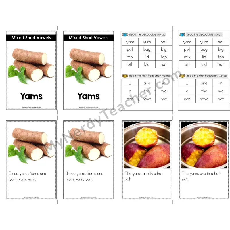 Short Vowels Decodable Mini Book — No Phonics Dots