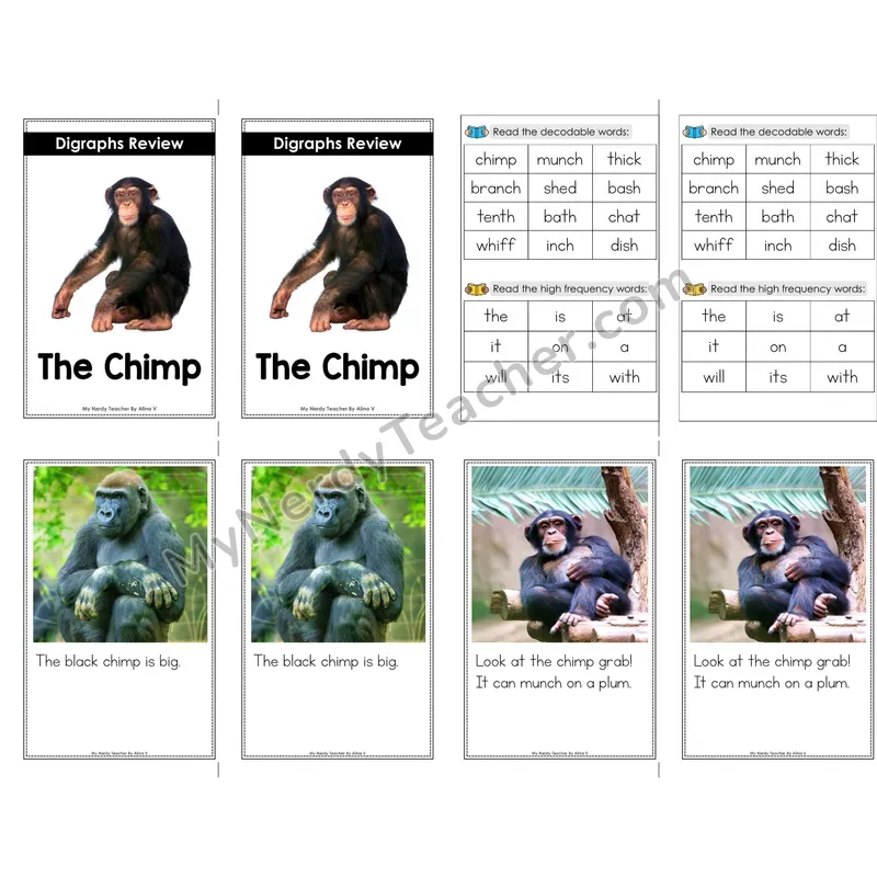 Digraphs Review Decodable Mini Book — No Phonics Dots