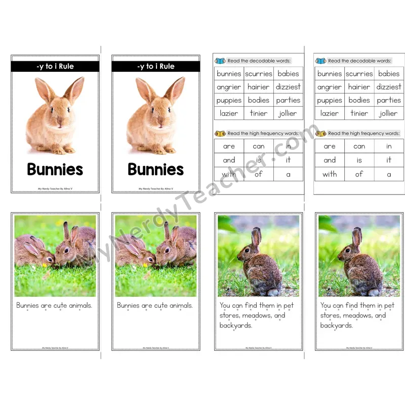 y to i Spelling Rule Decodable Mini Book — With Phonics Dots