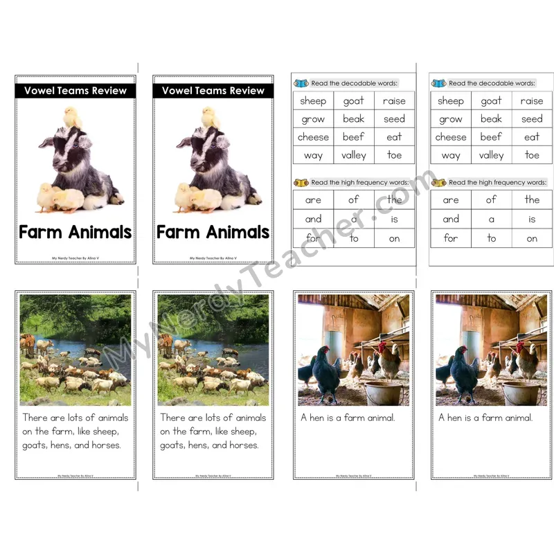 Vowel Teams Review Decodable Mini Book — No Phonics Dots