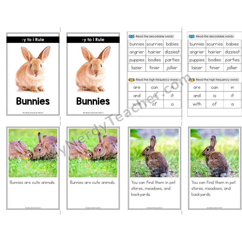 y to i Spelling Rule Decodable Mini Book — No Phonics Dots