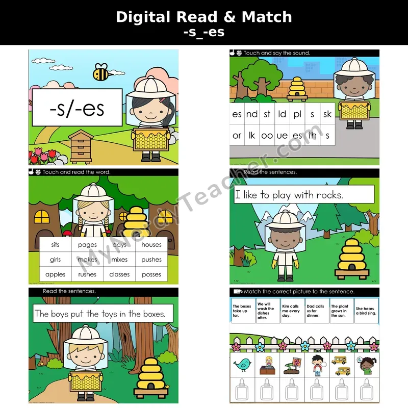 Suffix -s, -es Decodable Sentences — Read and Match (Digital)