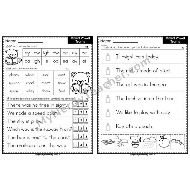 Mixed Vowel Teams Review Decodable Sentences — Read and Match (PowerPoint Black & White)