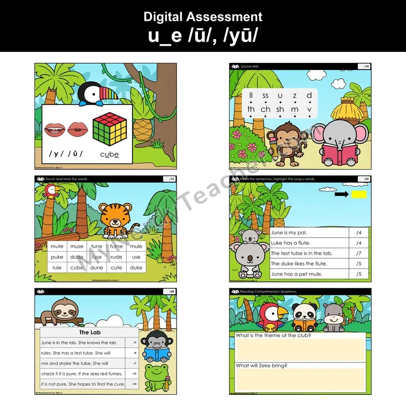 Digital Phonics Assessment — u_e /ū/, /yū/