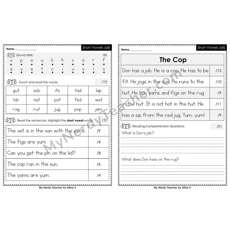Editable Phonics Assessment — Short Vowels (all) (Color)