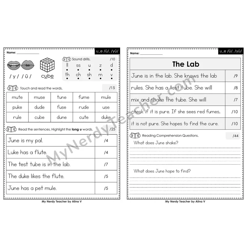 Printable Phonics Assessment — u_e /ū/, /yū/