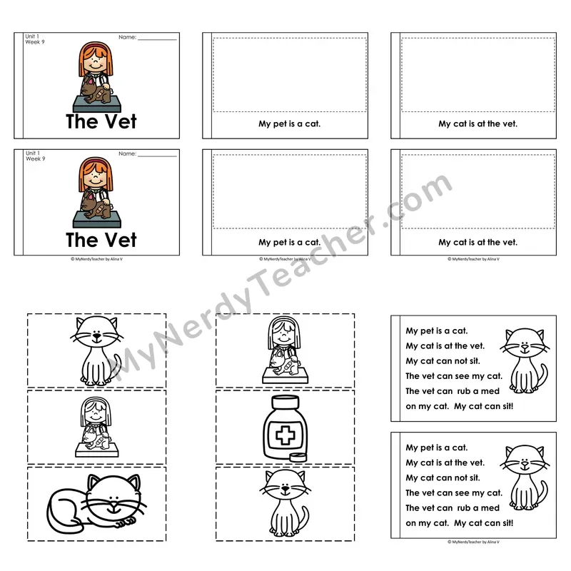 S-Blends (sl, sk, sw) Decodable Puzzle Book — The Vet