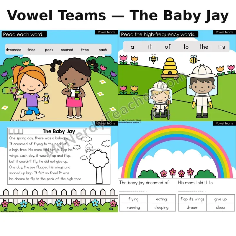 Vowel Teams Decodable Reader (Digital) — Spring: The Baby Jay