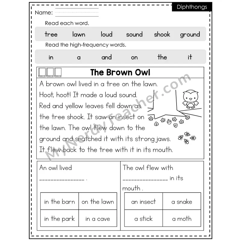 Diphthongs Decodable Reader — Fall: The Brown Owl
