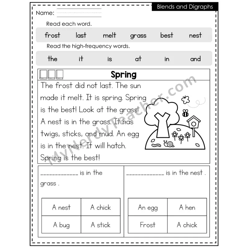 Blends and Digraphs Decodable Reader — Spring: Spring
