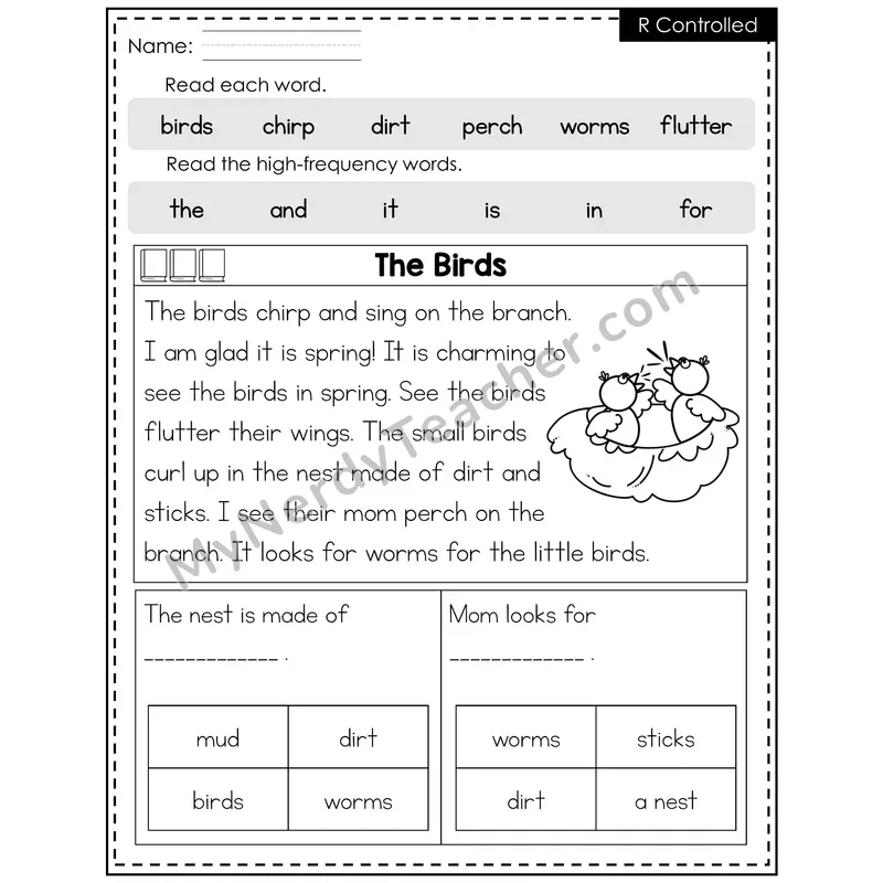 R-Controlled Vowels Decodable Reader — Spring: The Birds