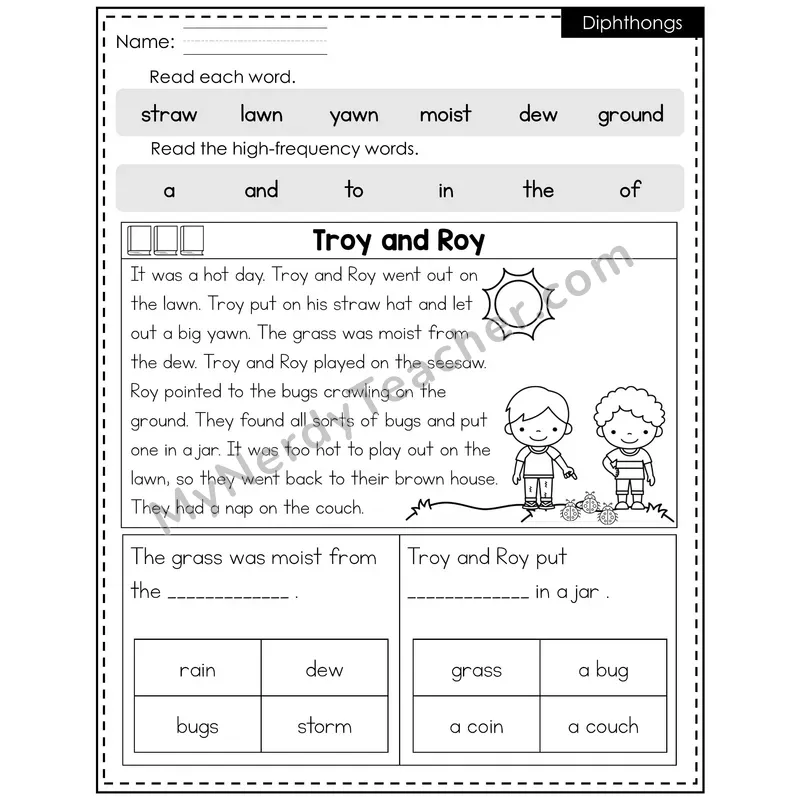 Diphthongs Decodable Reader — Summer: Troy and Roy