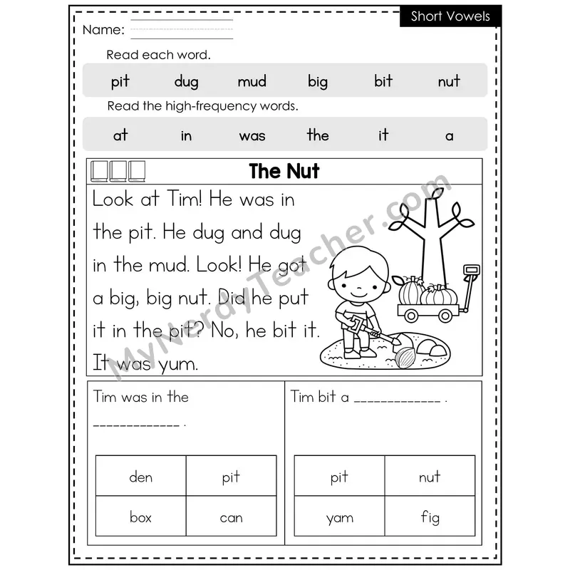 Short Vowels Decodable Reader (Editable) — Fall: The Nut
