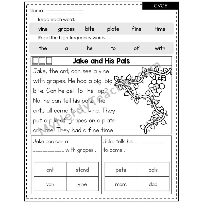 CVCe Silent E Decodable Reader (Editable) — Spring: Jake and His Pals