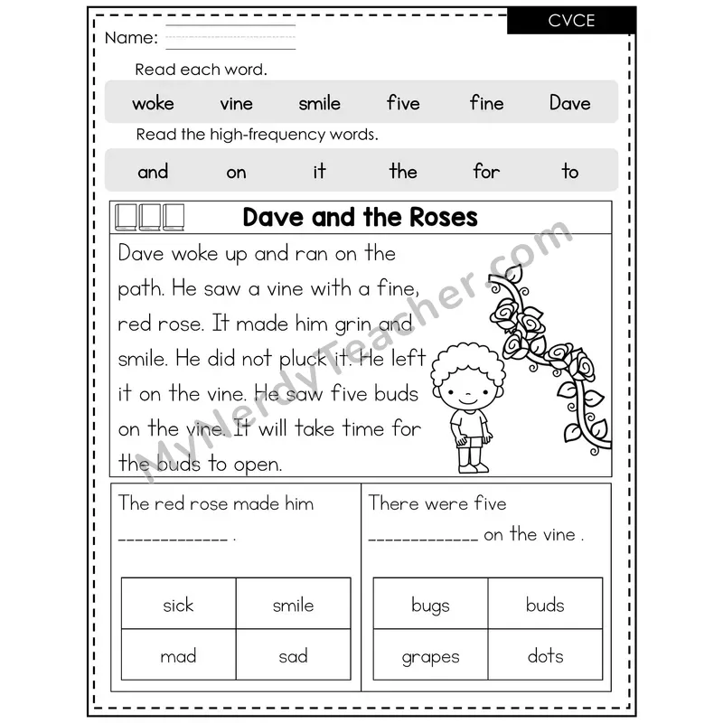 CVCe Silent E Decodable Reader (Editable) — Spring: Dave and the Roses