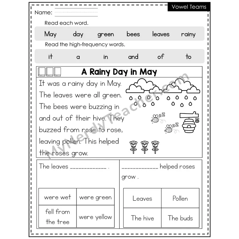 Vowel Teams Decodable Reader (Editable) — Spring: A Rainy Day in May