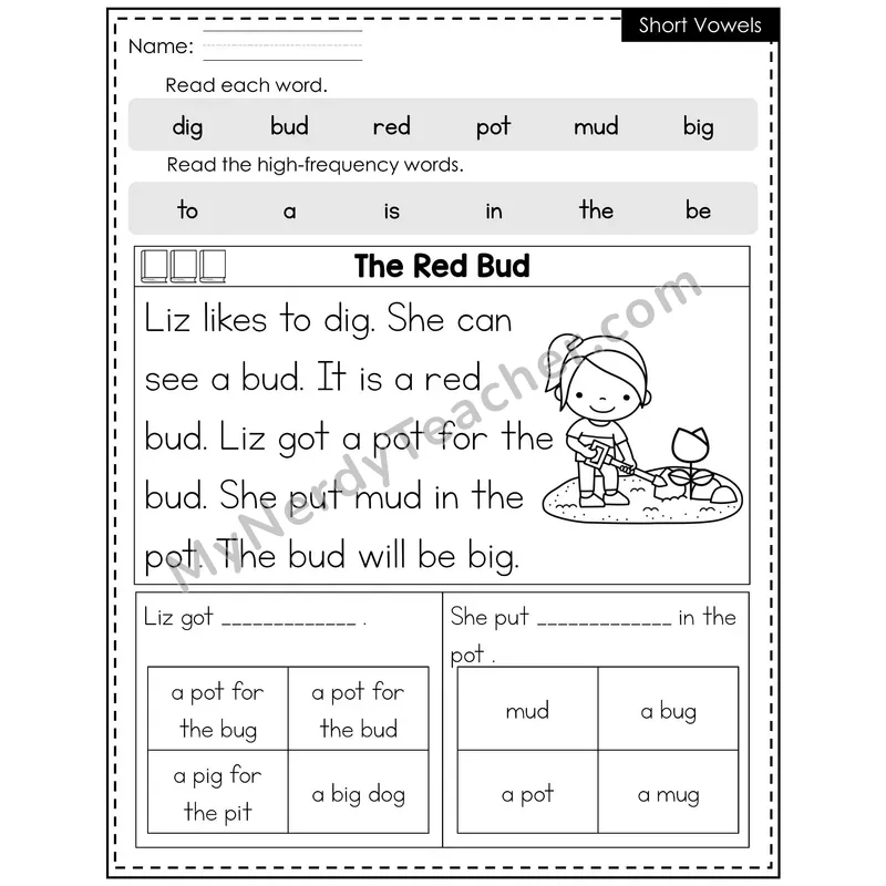 Short Vowels Decodable Reader (Editable) — Spring: The Red Bud