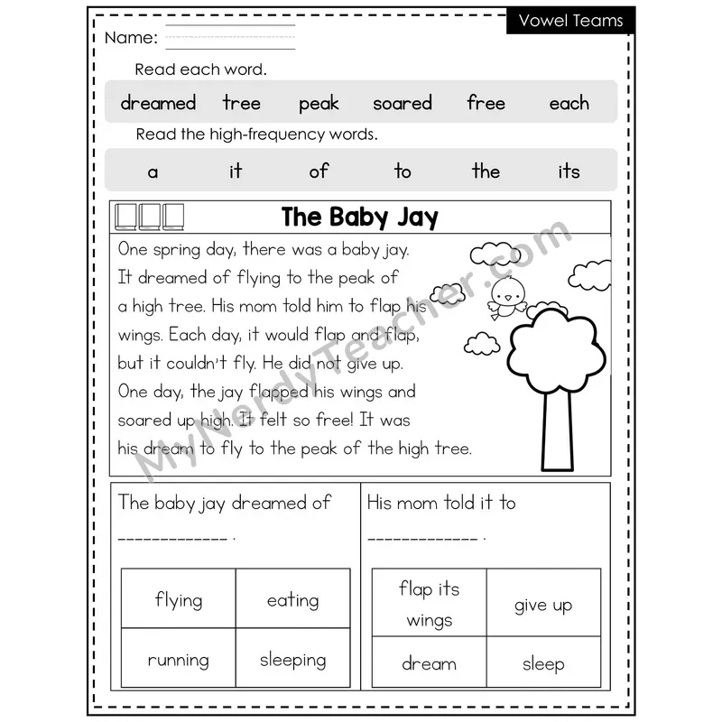 Vowel Teams Decodable Reader (Editable) — Spring: The Baby Jay