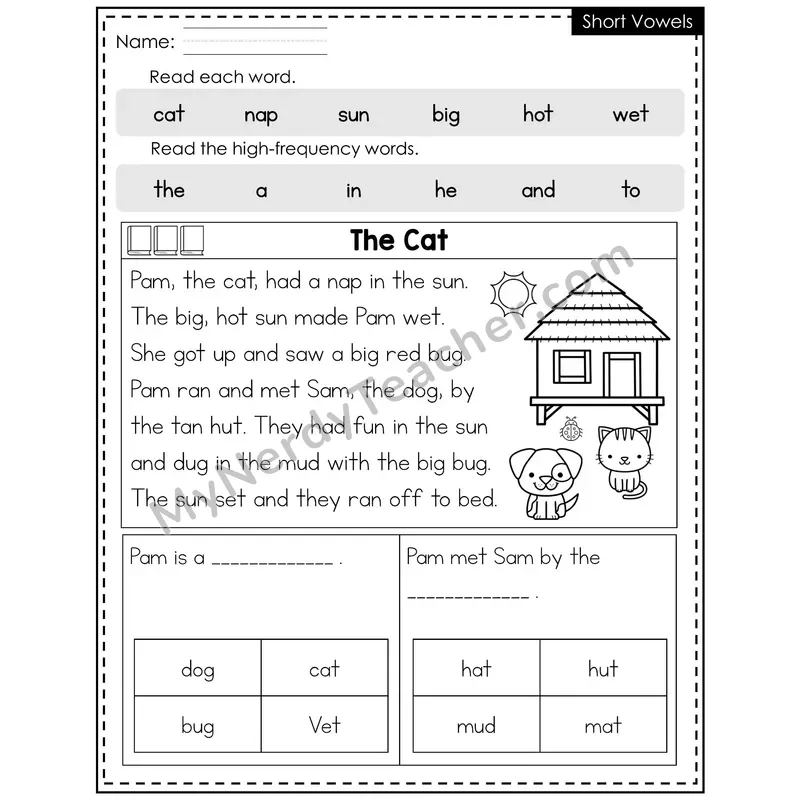 Short Vowels Decodable Reader (Editable) — Summer: The Cat