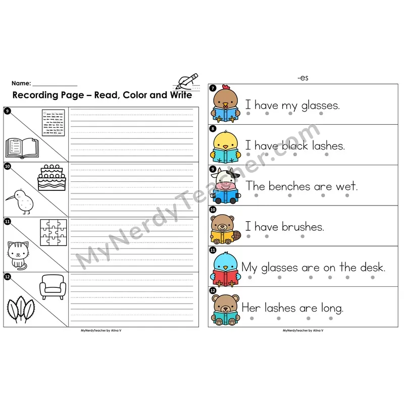 Read the Room Sentences — suffix -es