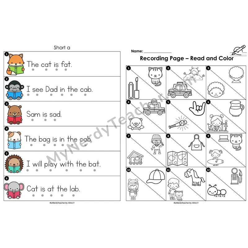 Read the Room Sentences — short a CVC words