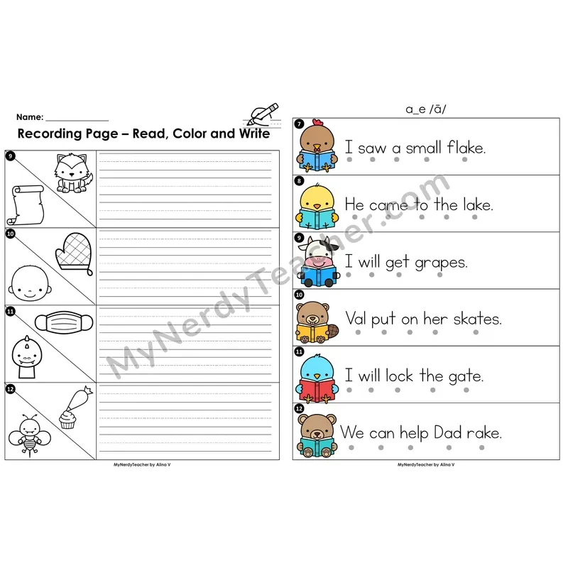 Read the Room Sentences — a_e (long a) CVCe pattern