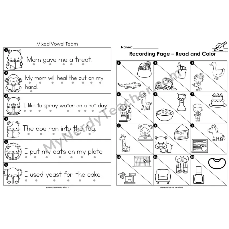 Read the Room Sentences — mixed vowel teams review (Black and White)