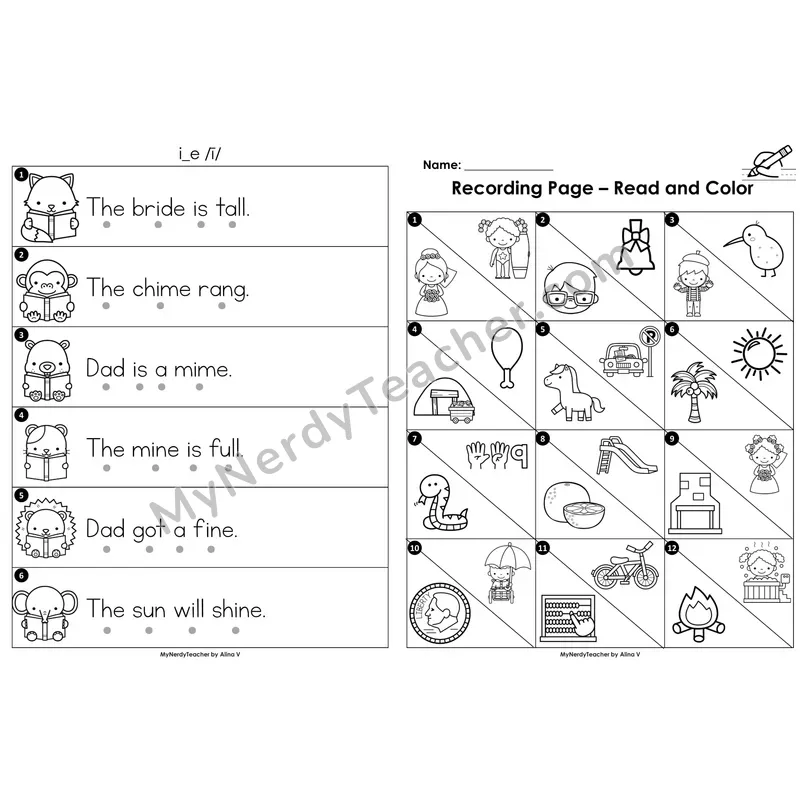 Read the Room Sentences — i_e (long i) CVCe (Black and White)