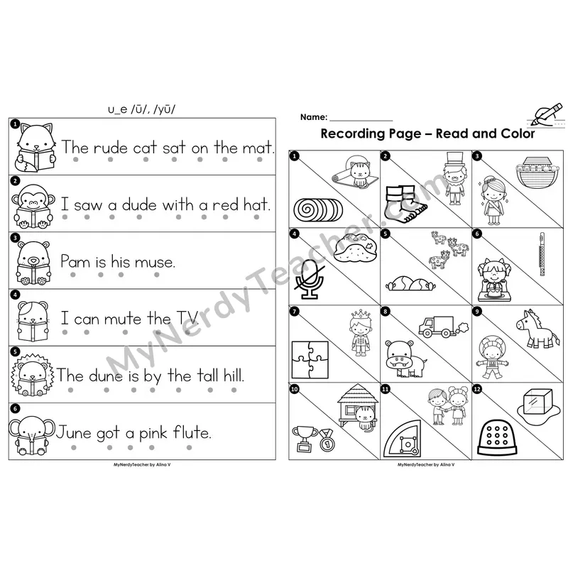 Read the Room Sentences — u_e (long u) CVCe (Black and White)