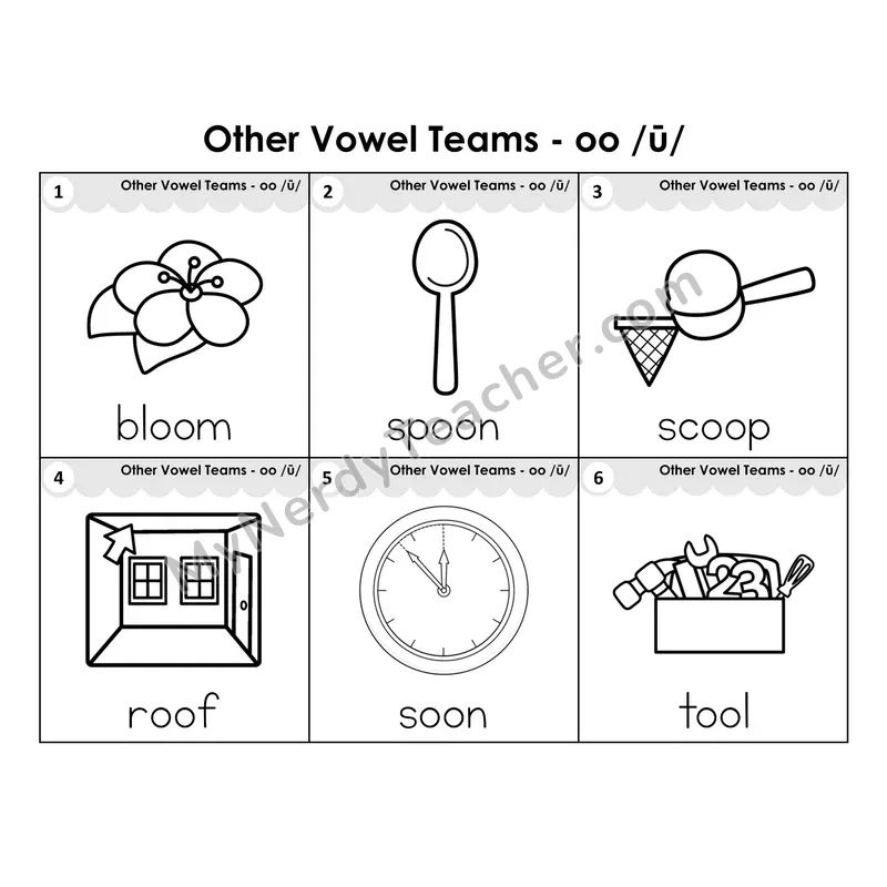 Write the Room Words — other vowel team oo (long sound) (Black and White)