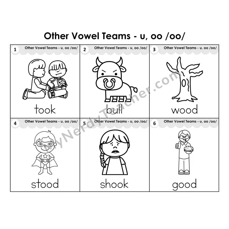 Write the Room Words — other vowel team oo (short sound) (Black and White)