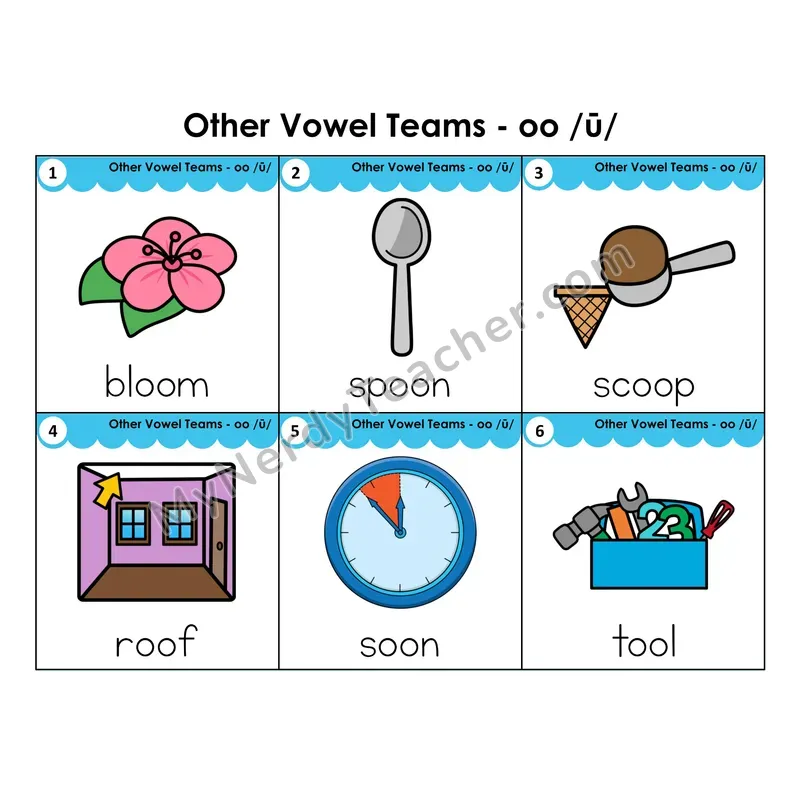 Write the Room Words — other vowel team oo (long sound)