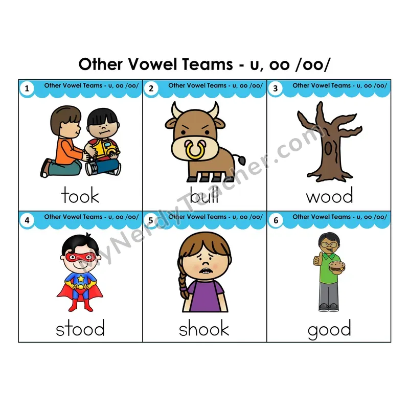 Write the Room Words — other vowel team oo (short sound)