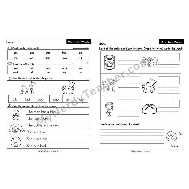 Editable Decodable Look-Alike Words and Sentences — Mixed Short Vowel CVC Review
