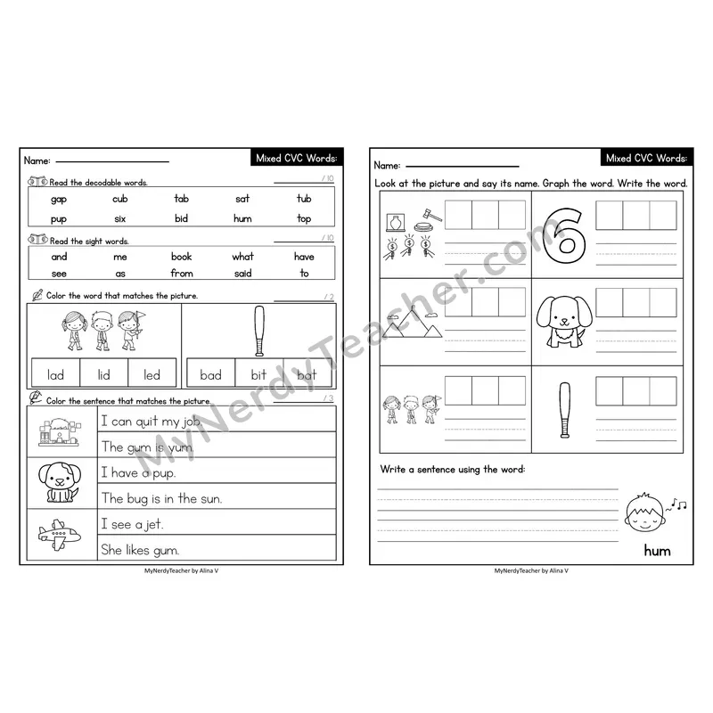 Editable Decodable Look-Alike Words and Sentences — Mixed Short Vowel CVC Review
