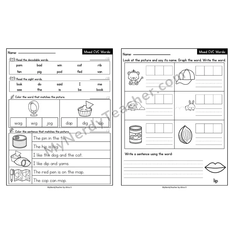 Editable Decodable Look-Alike Words and Sentences — Mixed Short Vowel CVC Review