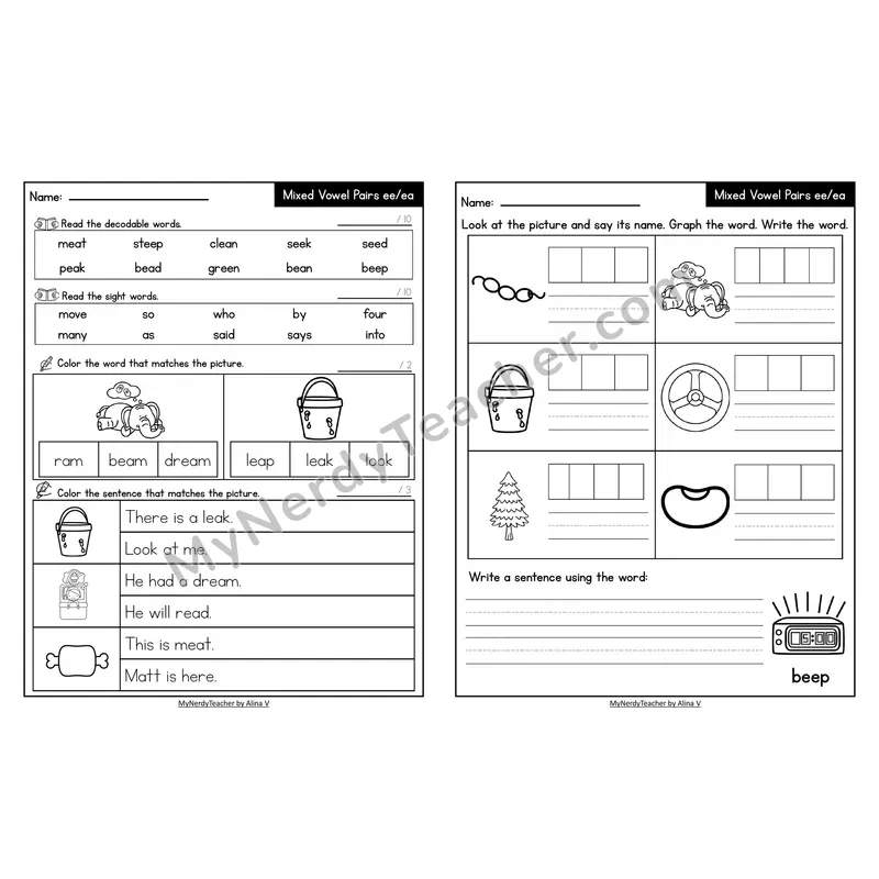 Decodable Look-Alike Words and Sentences Worksheet — Mixed ee/ea Long E