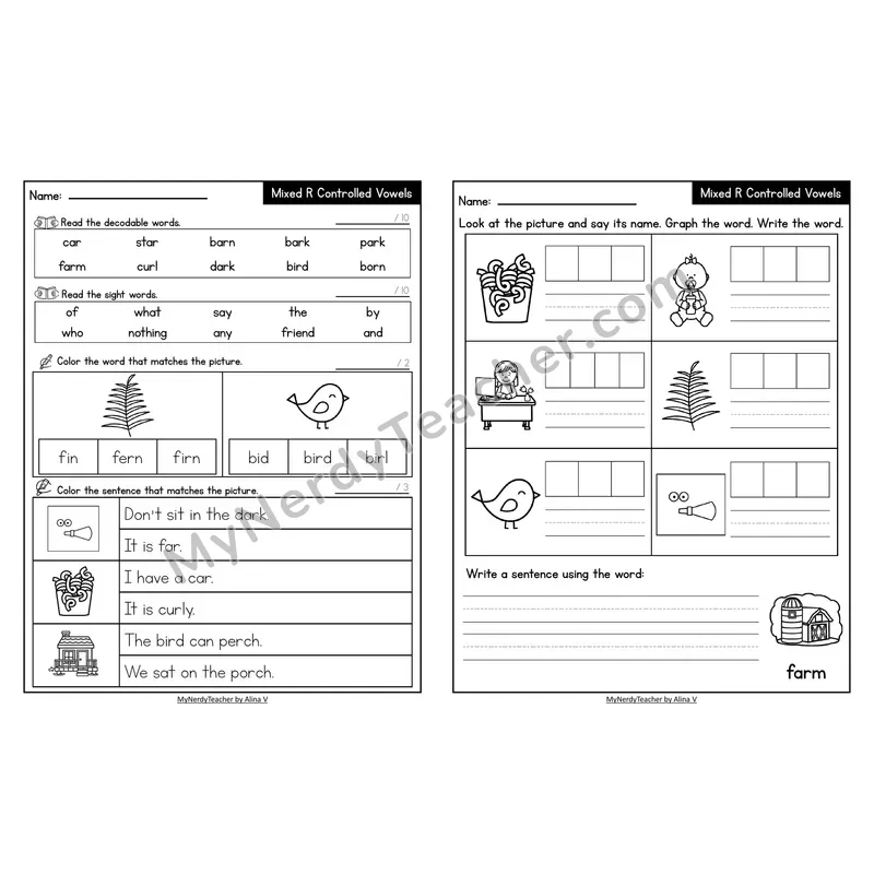 Decodable Look-Alike Words and Sentences Worksheet — Mixed Phonics Review