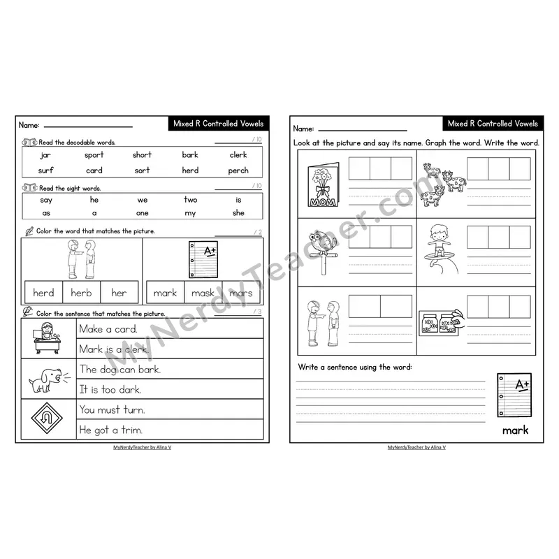 Decodable Look-Alike Words and Sentences Worksheet — Mixed Phonics Review