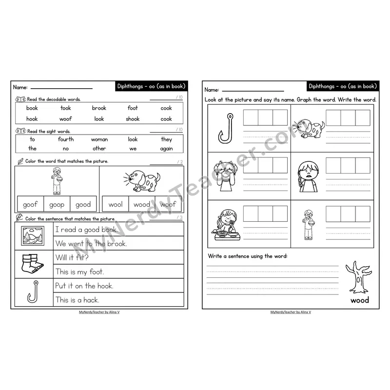 Decodable Look-Alike Words and Sentences Worksheet — oo /oo/ as in book