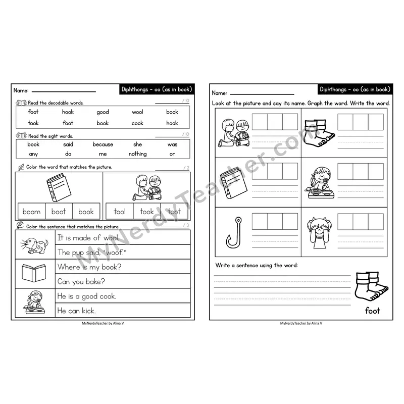 Decodable Look-Alike Words and Sentences Worksheet — oo /oo/ as in book