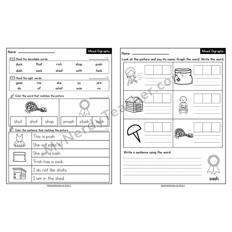 Decodable Look-Alike Words and Sentences Worksheet — Mixed Digraphs Review