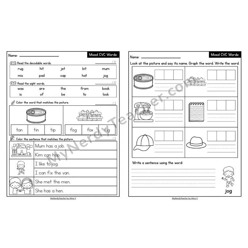 Decodable Look-Alike Words and Sentences Worksheet — Mixed Short Vowel CVC Review