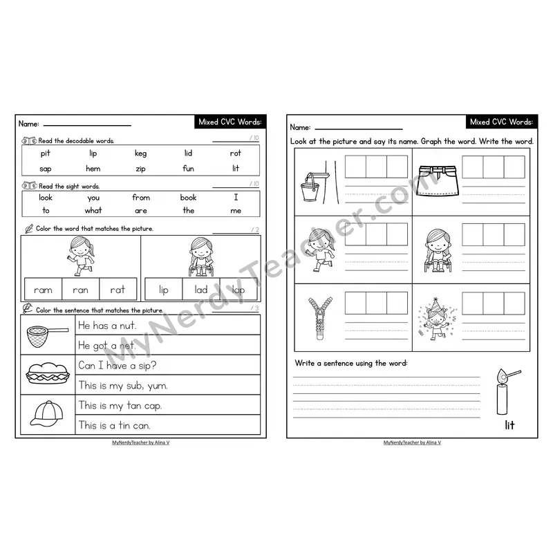 Decodable Look-Alike Words and Sentences Worksheet — Mixed Short Vowel CVC Review