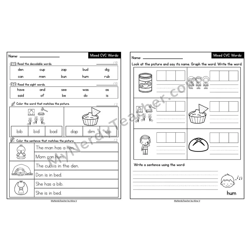 Decodable Look-Alike Words and Sentences Worksheet — Mixed Short Vowel CVC Review
