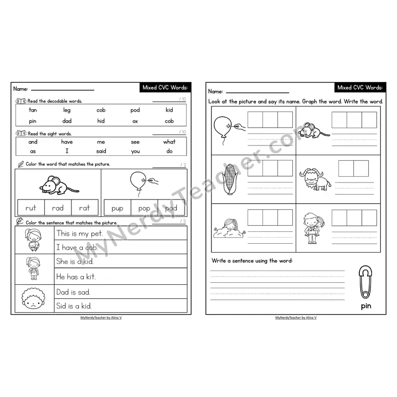 Decodable Look-Alike Words and Sentences Worksheet — Mixed Short Vowel CVC Review