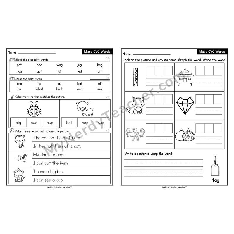 Decodable Look-Alike Words and Sentences Worksheet — Mixed Short Vowel CVC Review